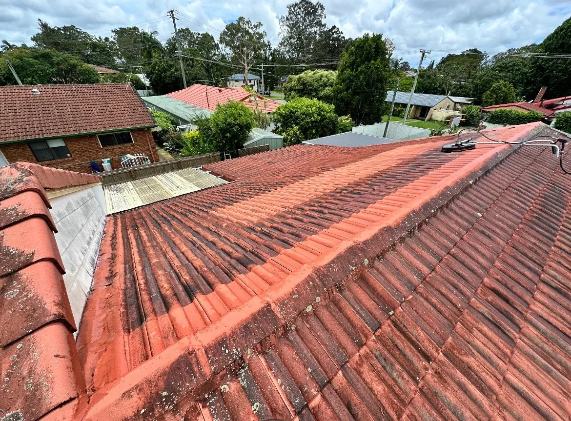 Freshly cleaned tiled roof in Brisbane